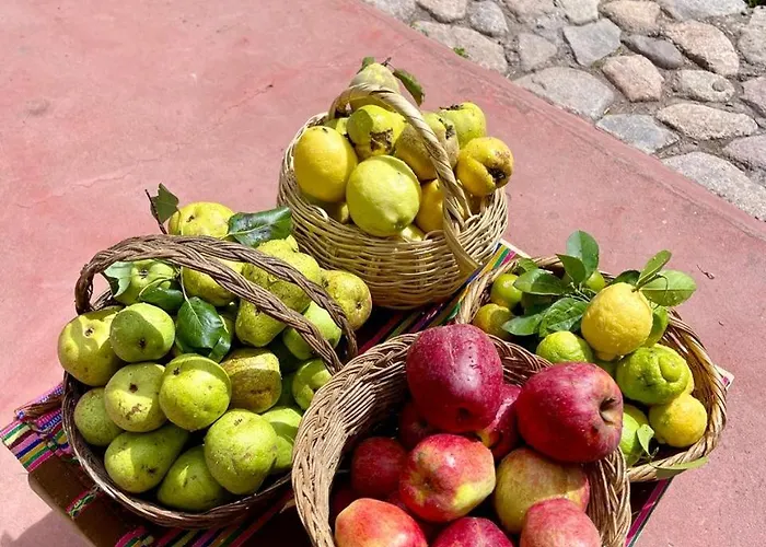 La Huerta Refugio