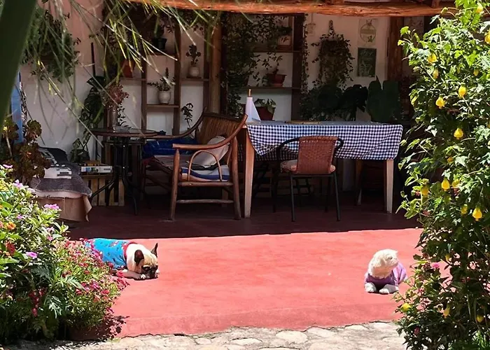 Lodge La Huerta Refugio